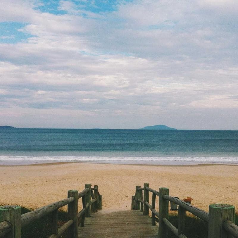 PureGlow Cosmetics Vintage Brass Buckle Belt image