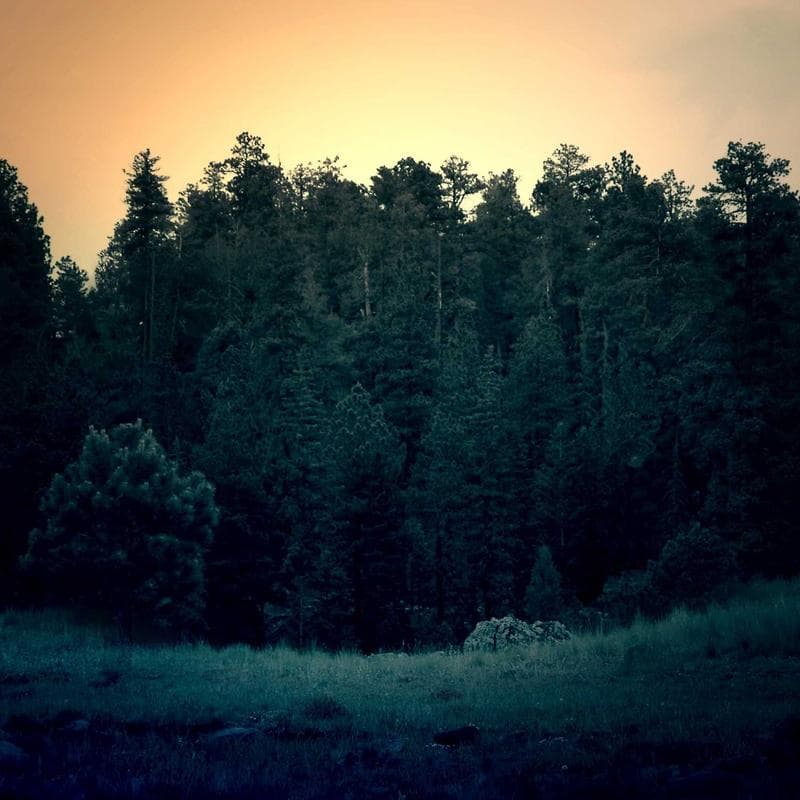 Daily Goods Co Minimalist Leather Dress Watch image