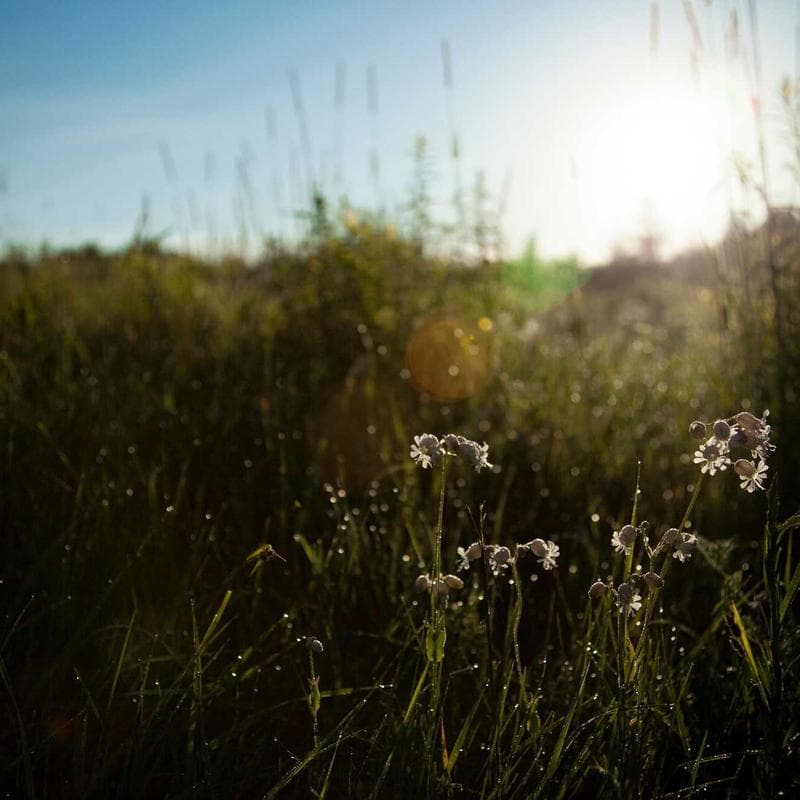 StrideCo Urban Low-top Court image