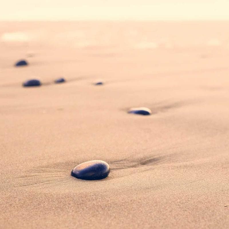 Axion Digital Portable Bluetooth Speaker image