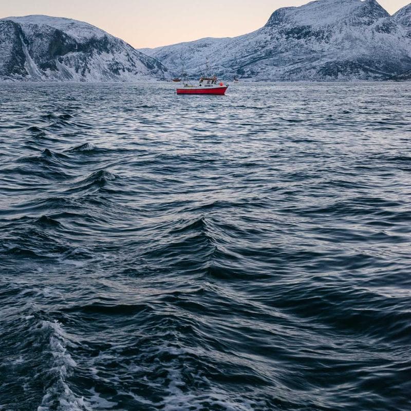 Axion Digital ANC Earbuds image