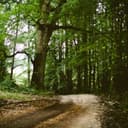 Product carousel Indicator