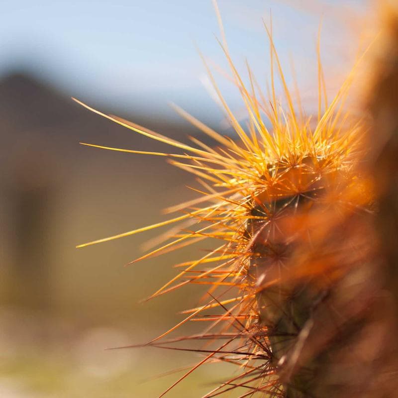 Axion Digital Wooden Learning Blocks image