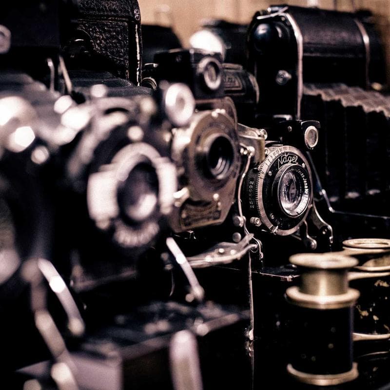 SproutKids Rugged Cargo Shorts image