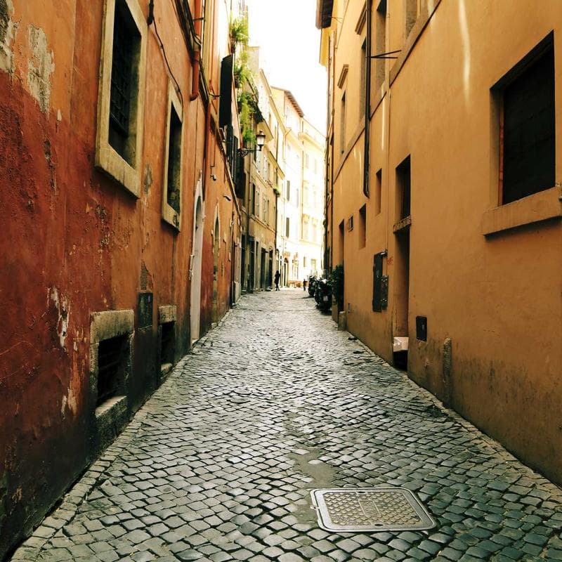 BabyHaven Pearl Drop Earrings image