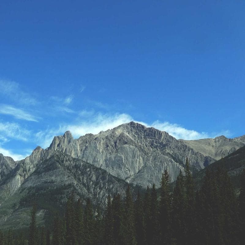 Radiant Beauty Lab Exfoliating Face Scrub image