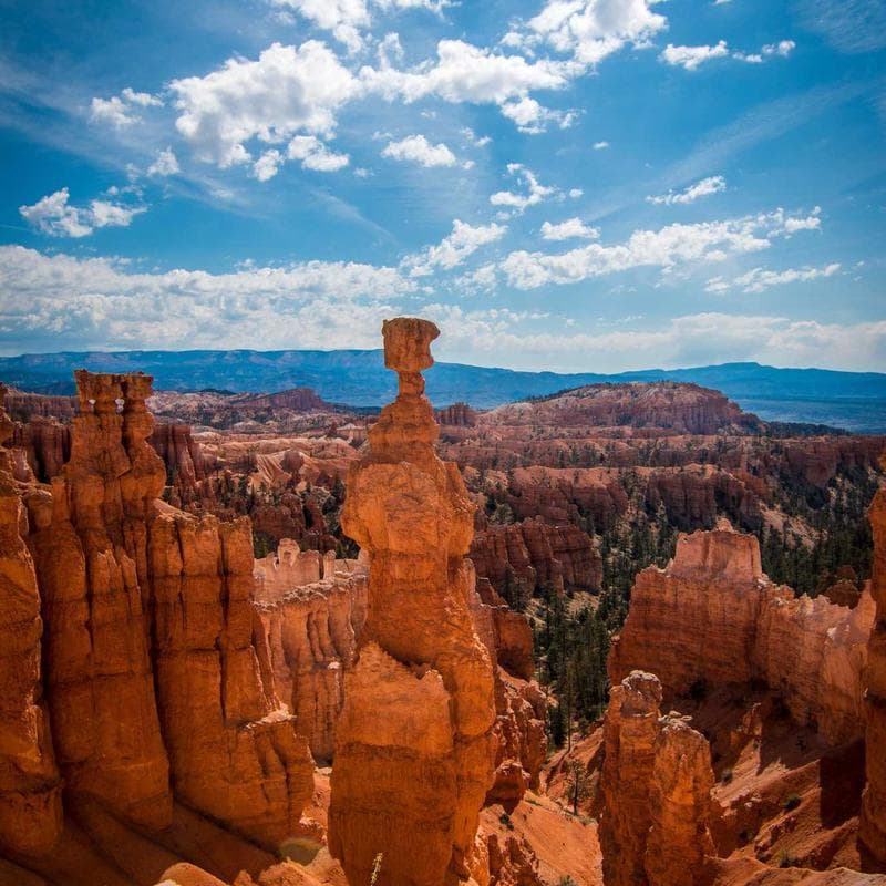 SkinRitual Solar Sport Chronograph image