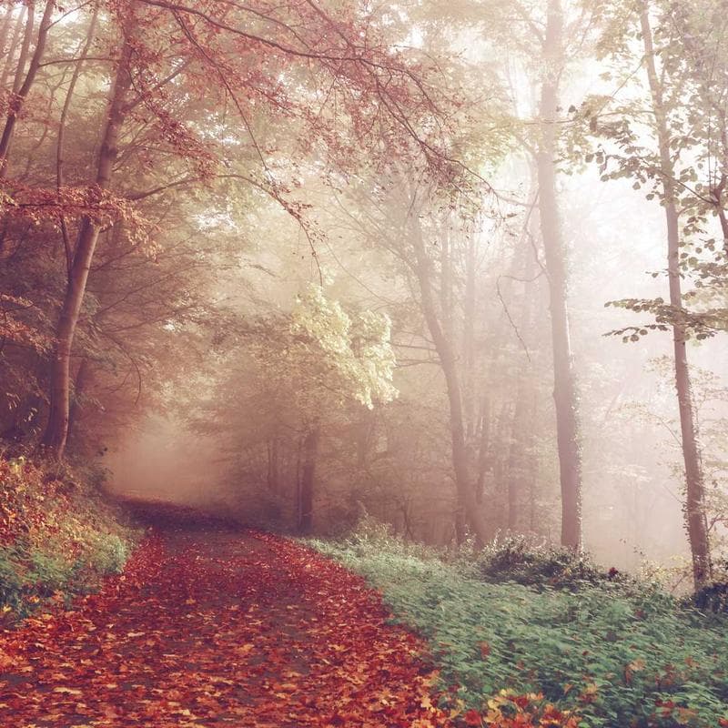 BabyHaven Lightweight Puffer Jacket image