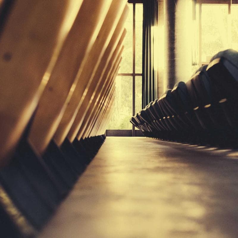 Axion Digital ANC Earbuds image