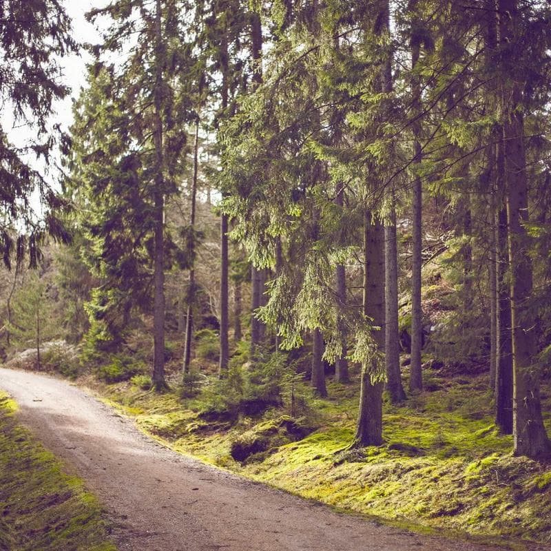 HomePrime Infinity Charm Bracelet image