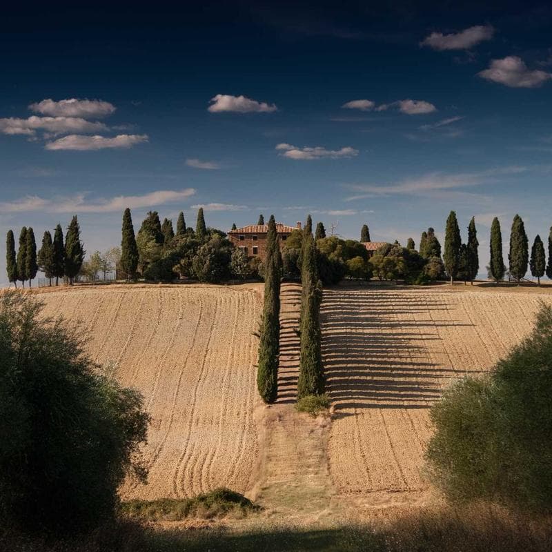 Cinch Co Everyday Tee image