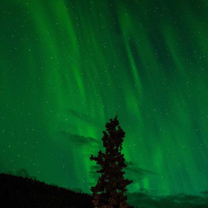 TinyTrails Wooden Learning Blocks image