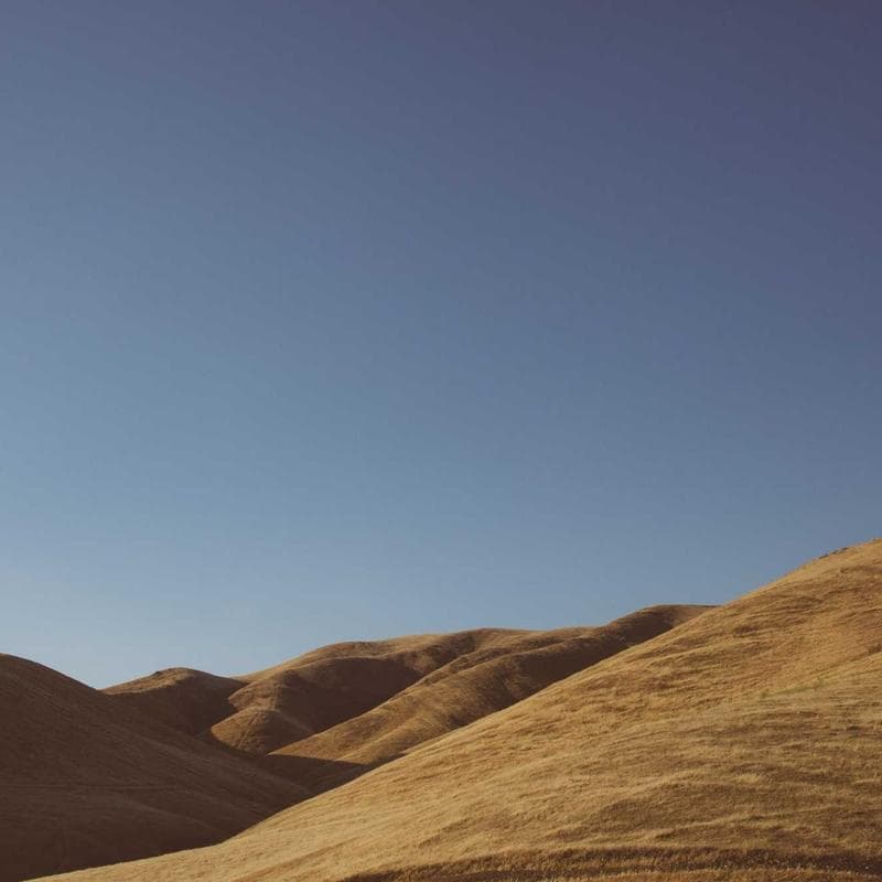 LittleBloom Storm Rain Boot image