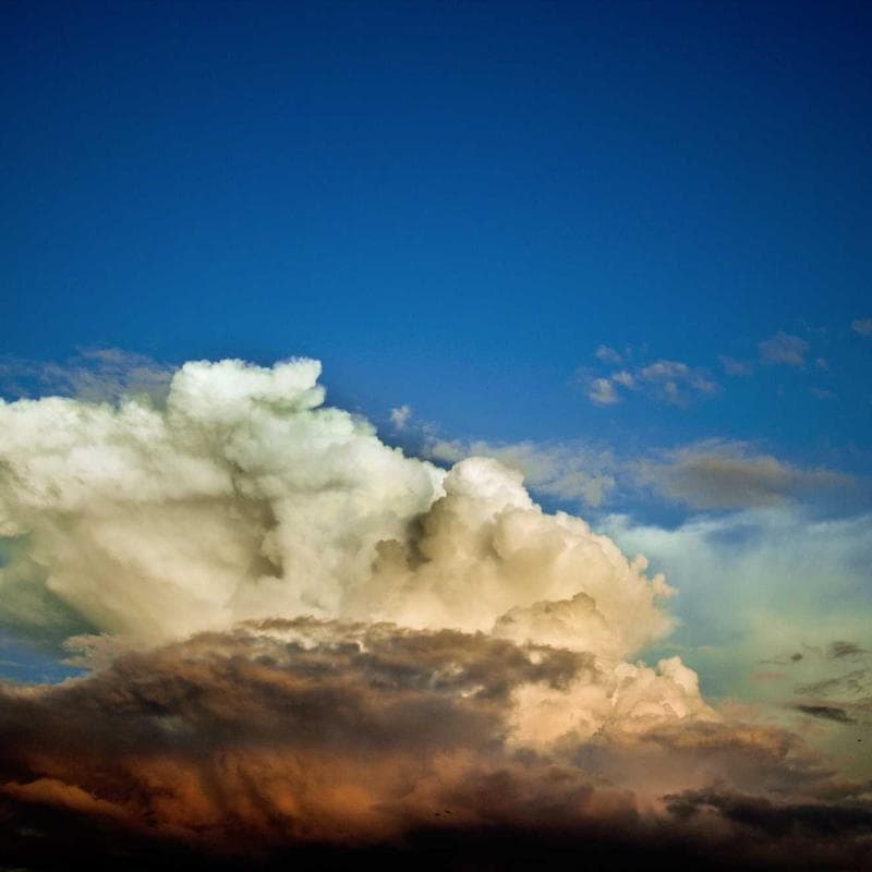 HouseHarvest Waterproof Rain Shell image