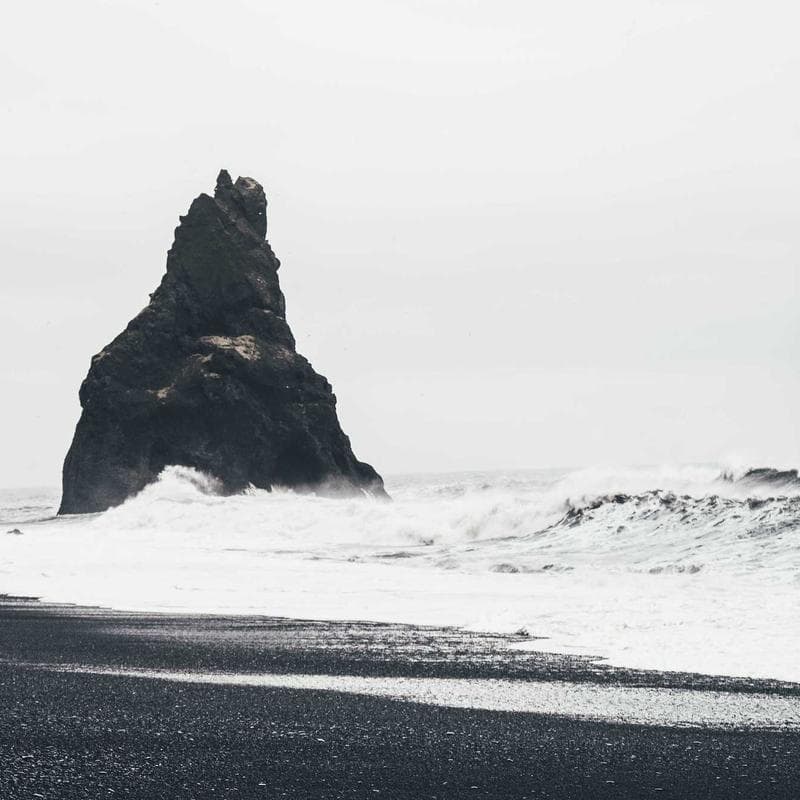 Radiant Beauty Lab Hydrating Botanical Serum image