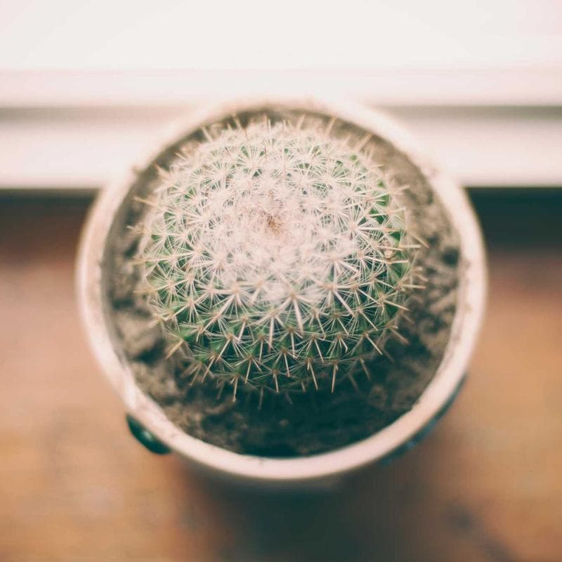 Axion Digital Mini Drone with HD Cam image