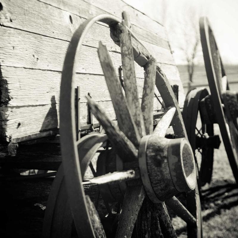 SkinRitual Cotton Chino Pant image