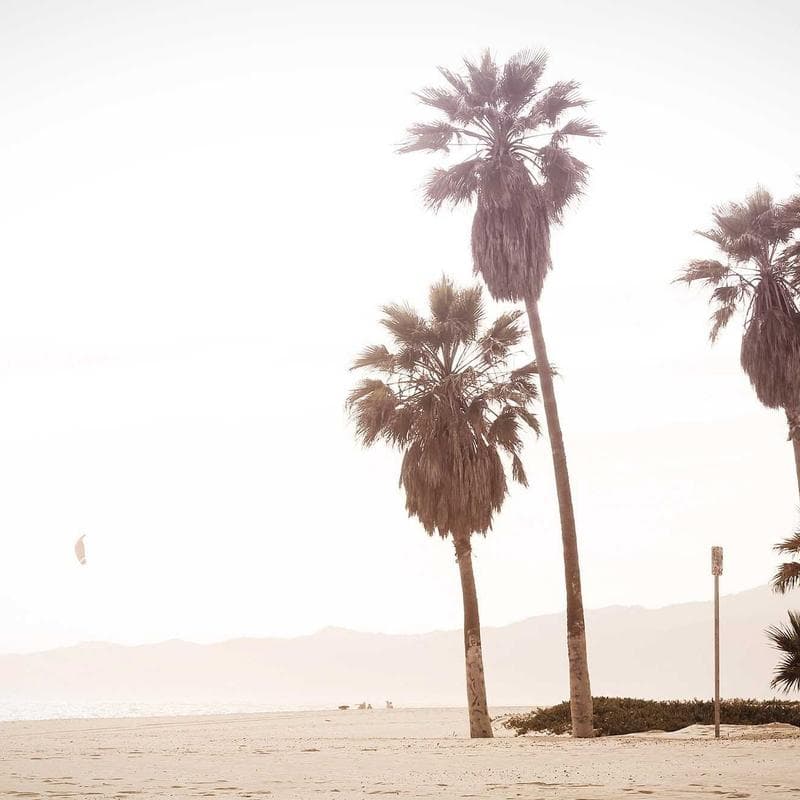 Kinder Nest Canvas Everyday Satchel image