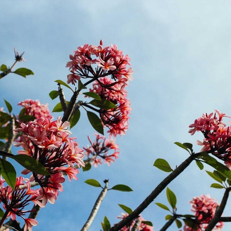 UtilityStock LED Desk Lamp image