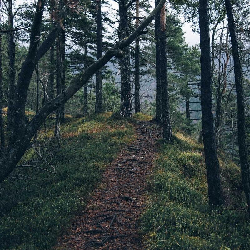 PureGlow Cosmetics Boho Bucket Bag image